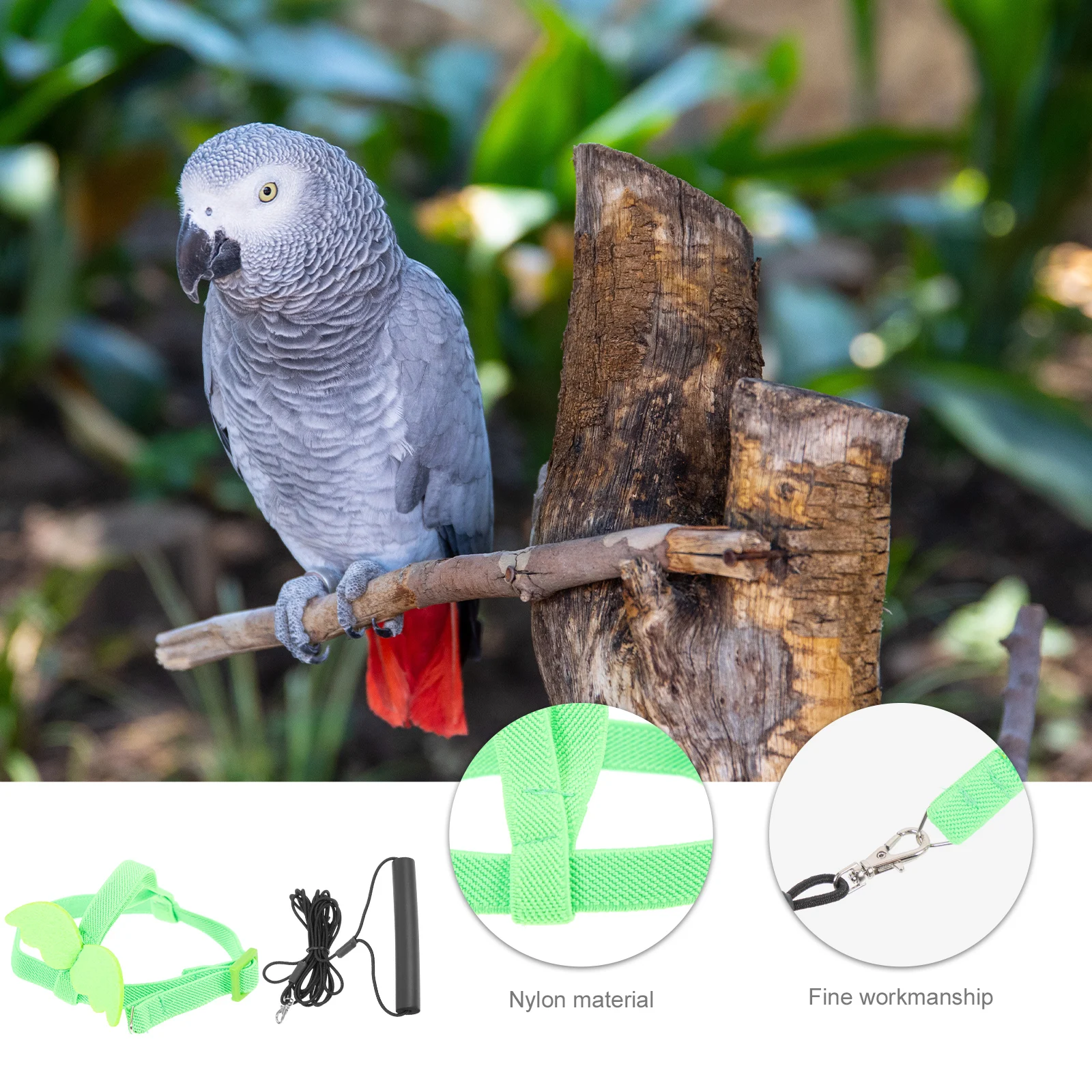 

Lizard Flying Strap Rope Train Outdoor Elastic Cotton Leash Bird Harness for Parrot
