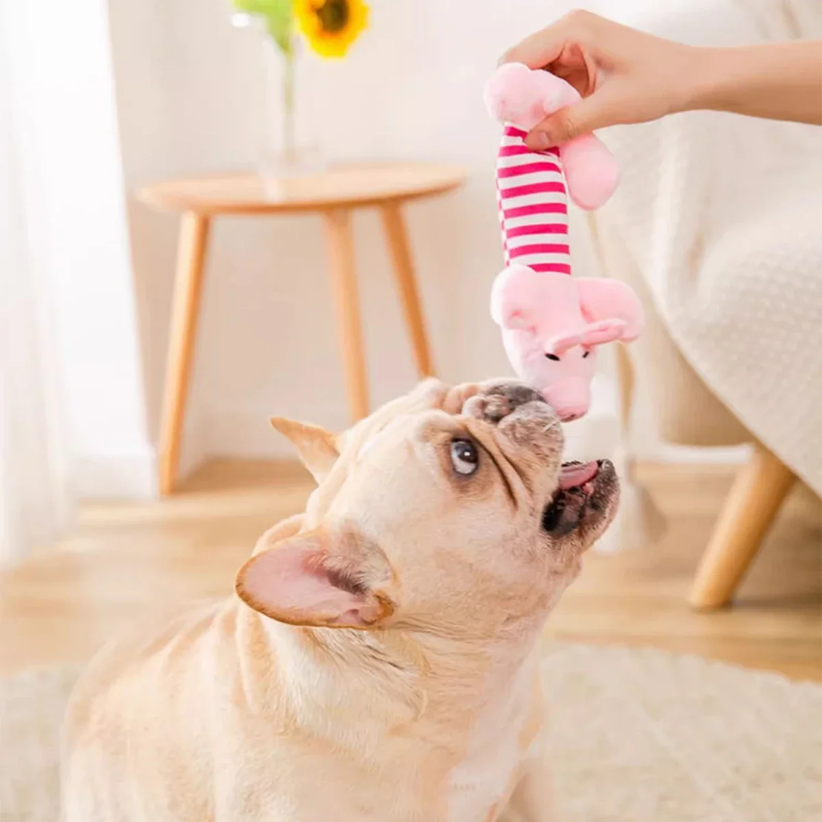 Juguete masticable con sonido para cachorros – Peluche divertido y resistente - imagen 5