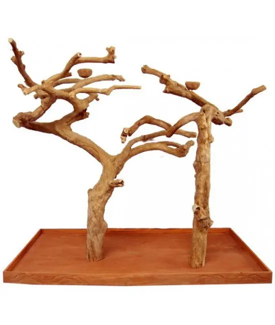 Hot Design 2024 Java Wood Coffee Wood Parrot Bird Perch Tree Parrot Play Stand From Vietnam