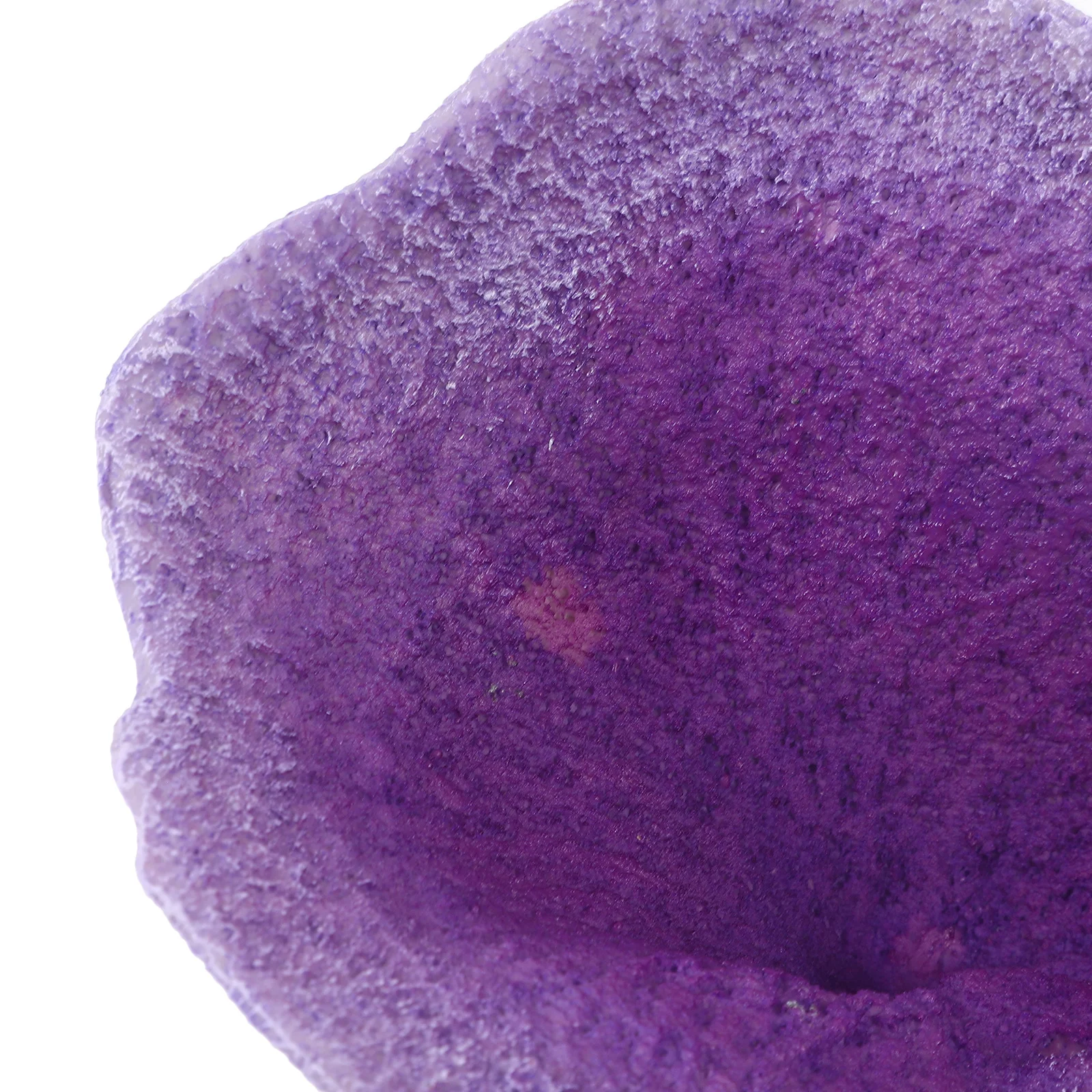 

Simulation Coral Ornament for Fish Tank No Fade Waterproof Aquatic Decor Ideal Hiding Spot Betta Fish Tank Accessories Resin