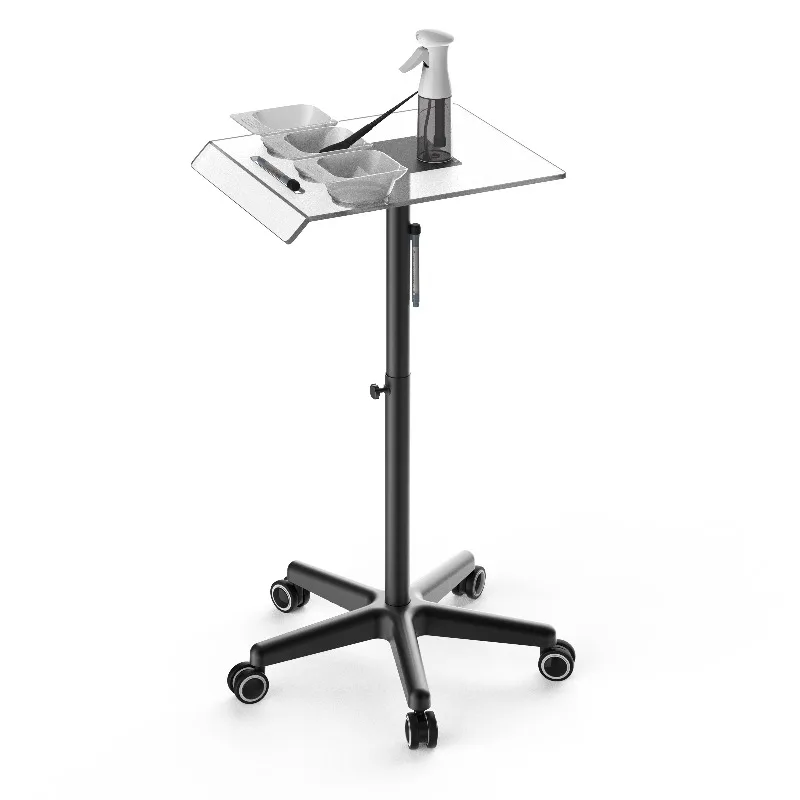 Organisateur pratique et durable pour outils de salon, magnifique chariot avec station de couleur remarquable