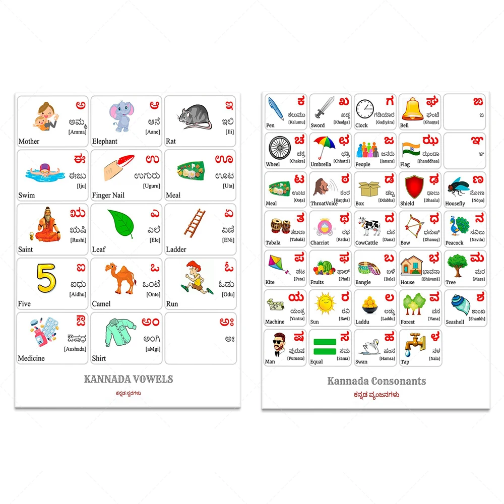 Kannada alphabet, consonant typography with words and English translation, Kannada lettering, educational poster for kids