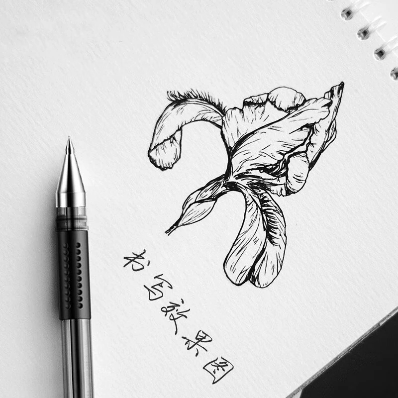 

12 шт. черная гелевая ручка для студентов с пулевидным наконечником, гладкое письмо, подходит для экзаменов, офиса и подписи, канцелярские принадлежности, гелевые ручки