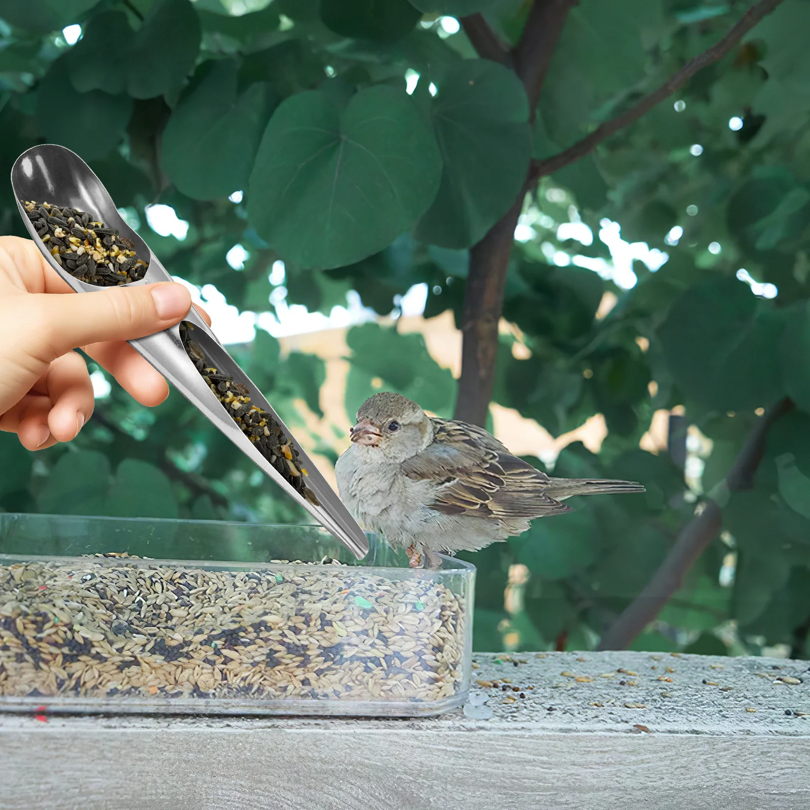 

2Pcs Stainless Steel Bird Feeder Scoop Parrot Feeding Accessory Small Medium Bird Food Tool Feed Scoop Parrot Feeding Accessory