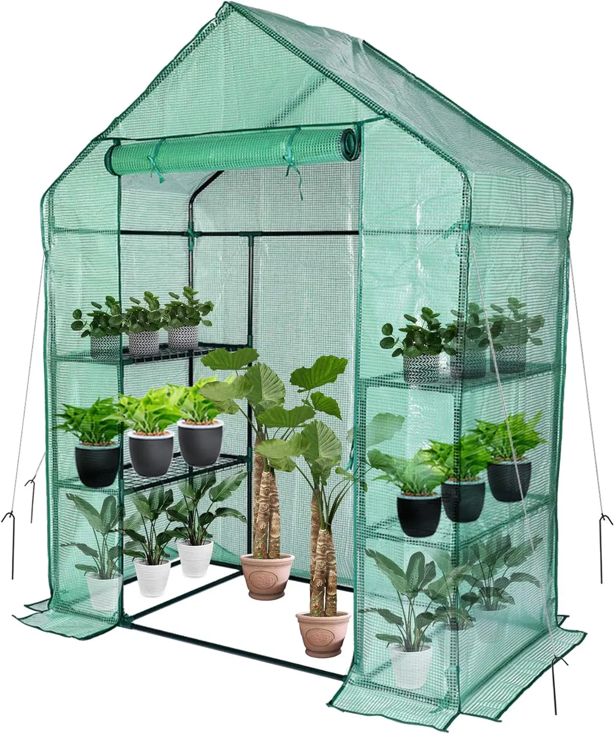 Greenhouse ,56 X 30 X 76''Mini Walk in Greenhouse, Portable Greenhouse with Roll-up Zipper Entry Door and Anchors for Stability