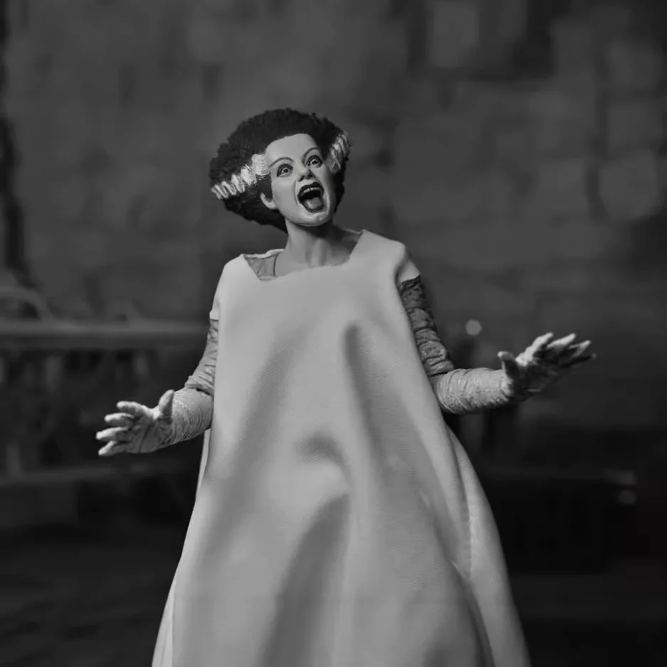 NECA ユニバーサル・モンスターズ フランケンシュタイン フランケンシュタインの花嫁 白黒バージョン アクションフィギュア コレクタブルモデル ギフト