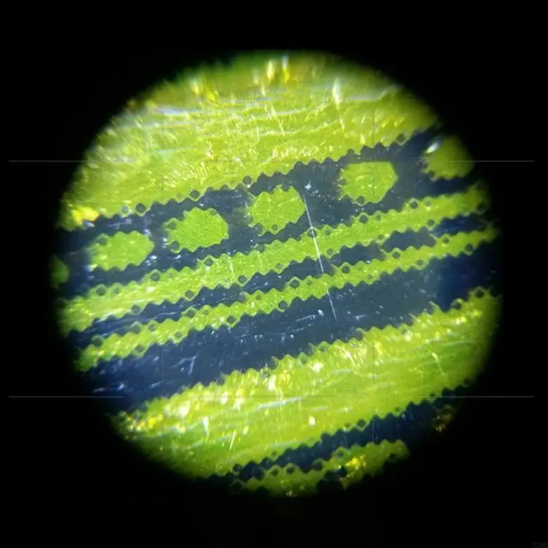 37ME Pen Microscope MicroPen 50X Mini LED Magnifier Microscope Jewelers Loupe Pocket