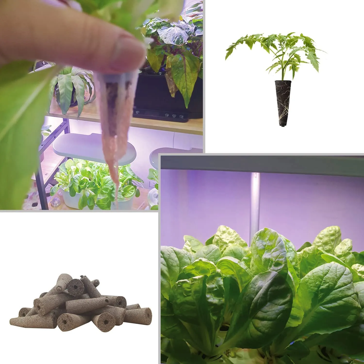 Esponjas de cultivo para uso con AeroGarden, esponjas ecológicas para crecimiento de plantas hidropónicas, paquete de 50