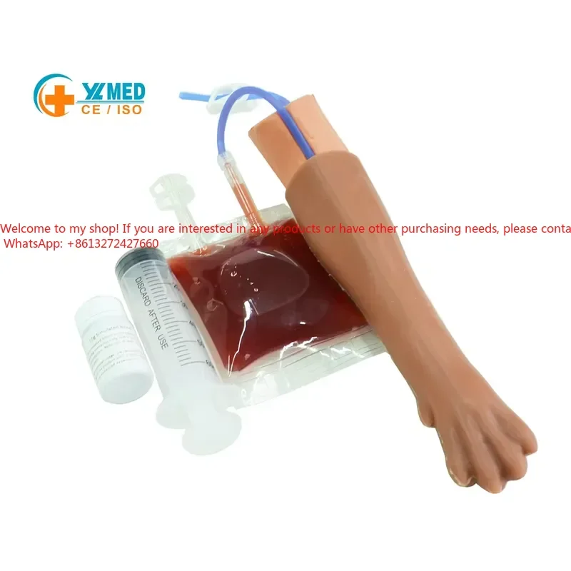 Realistic Simulation for Students and Veterinarians Canine IV Draw Leg Veterinary Dog Practice CE/ISO