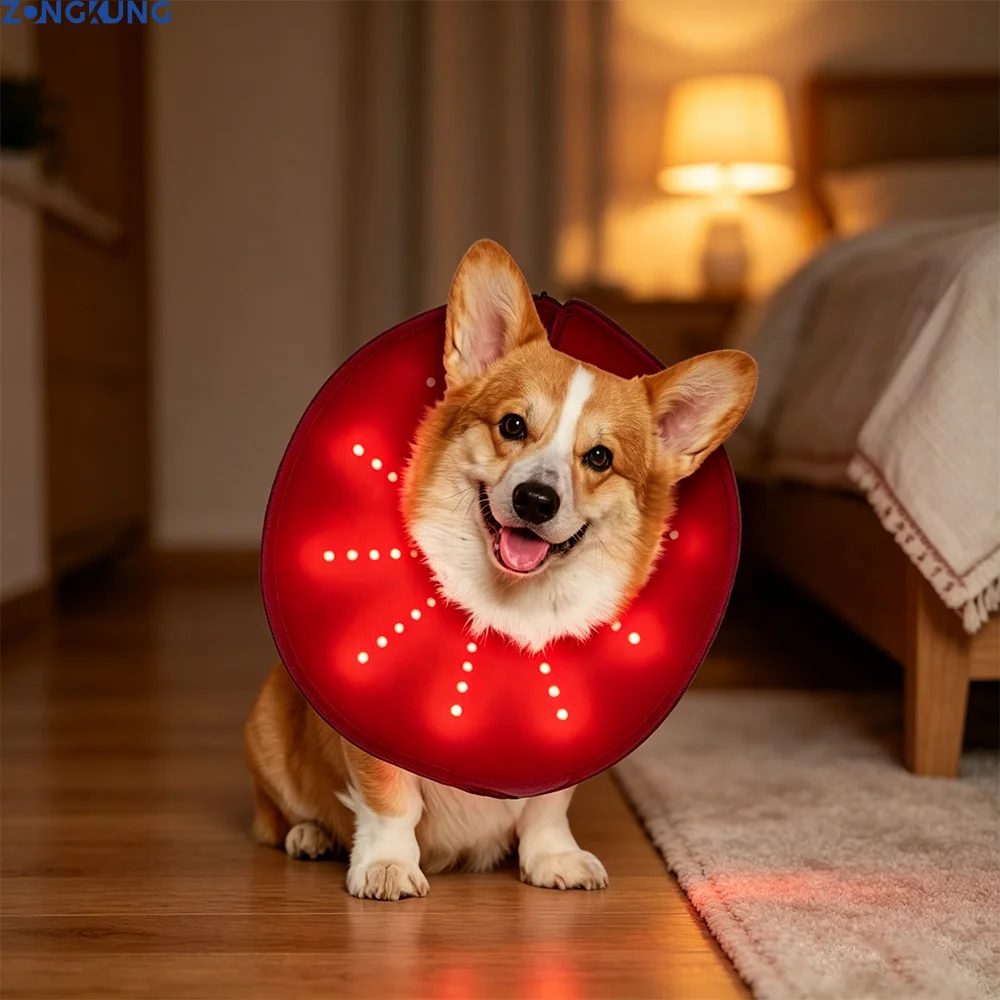 dispositivo-per-terapia-a-luce-rossa-per-cani-e-gatti-luce-infrarossa-con-fascia-a-cono-660nm-850nm-sollievo-dal-dolore-ricaricabile