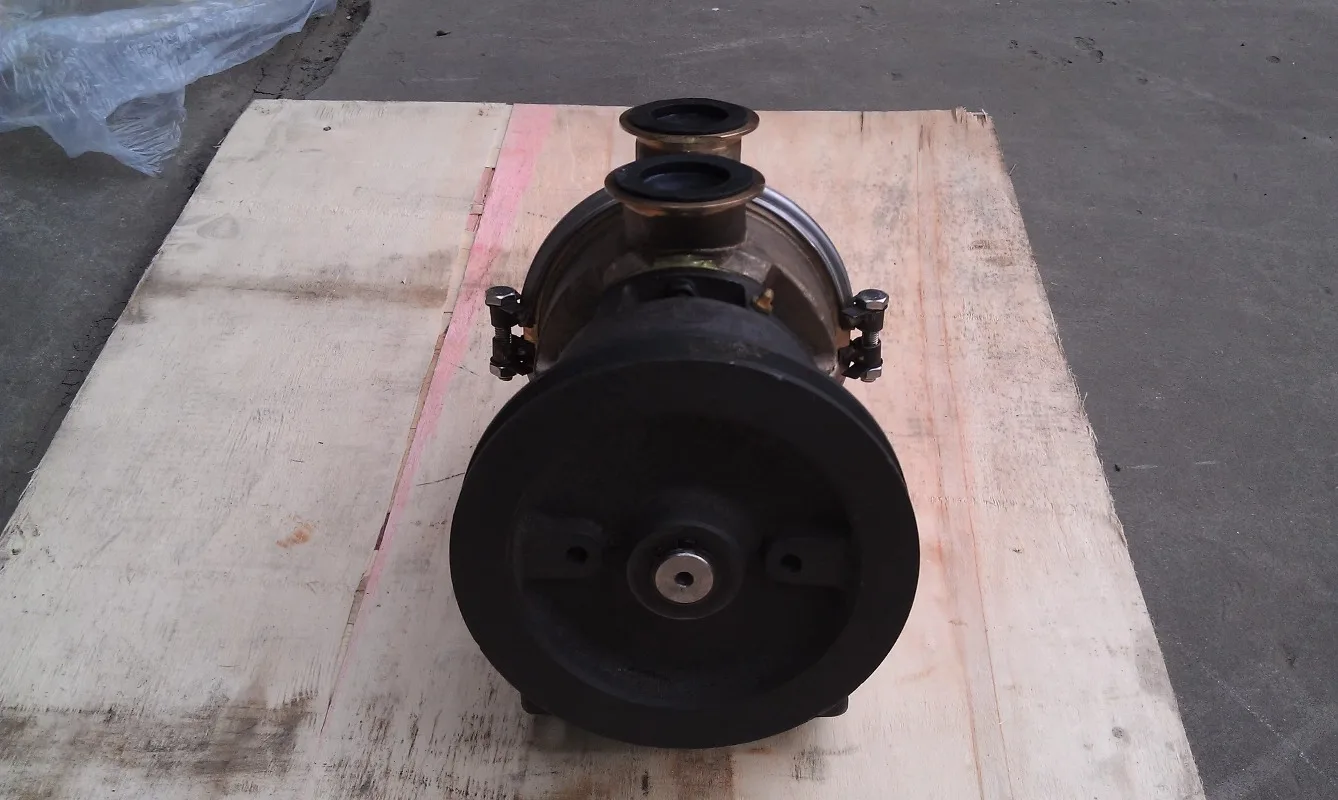 

New 3655857 4999542 Engine Sea Water Pump Raw Water Pump for NTA855-M Engine