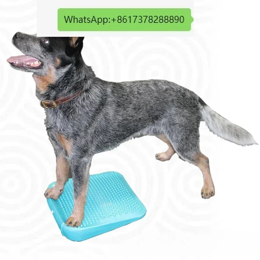 

Рампа Красота, баланс домашних животных, рампа, наклон, определение наклона, оборудование для фитнеса, осанка для тренировки мышц