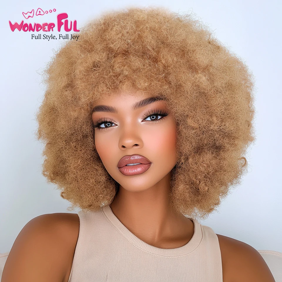 

Wonderful Brazilian Remy Hair Afro Curl 100% Human Hair Natural Kinky Curly Wigs Hair For Black Women Full Machine Made Wigs