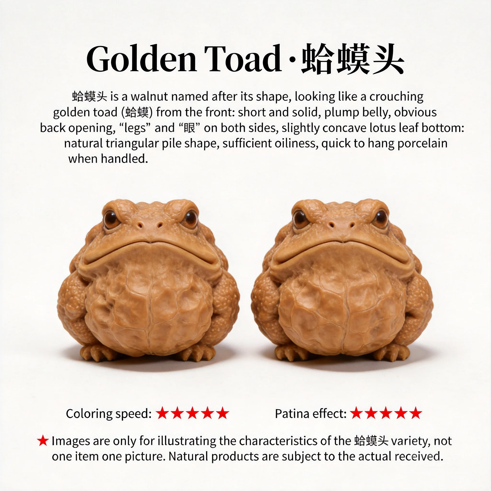 Chinese Auspicious Golden Toad Shaped Natural Old Tree Wenwan Walnut Hand Fidget Toy Lucky Fortune Blessing Collectible Stress