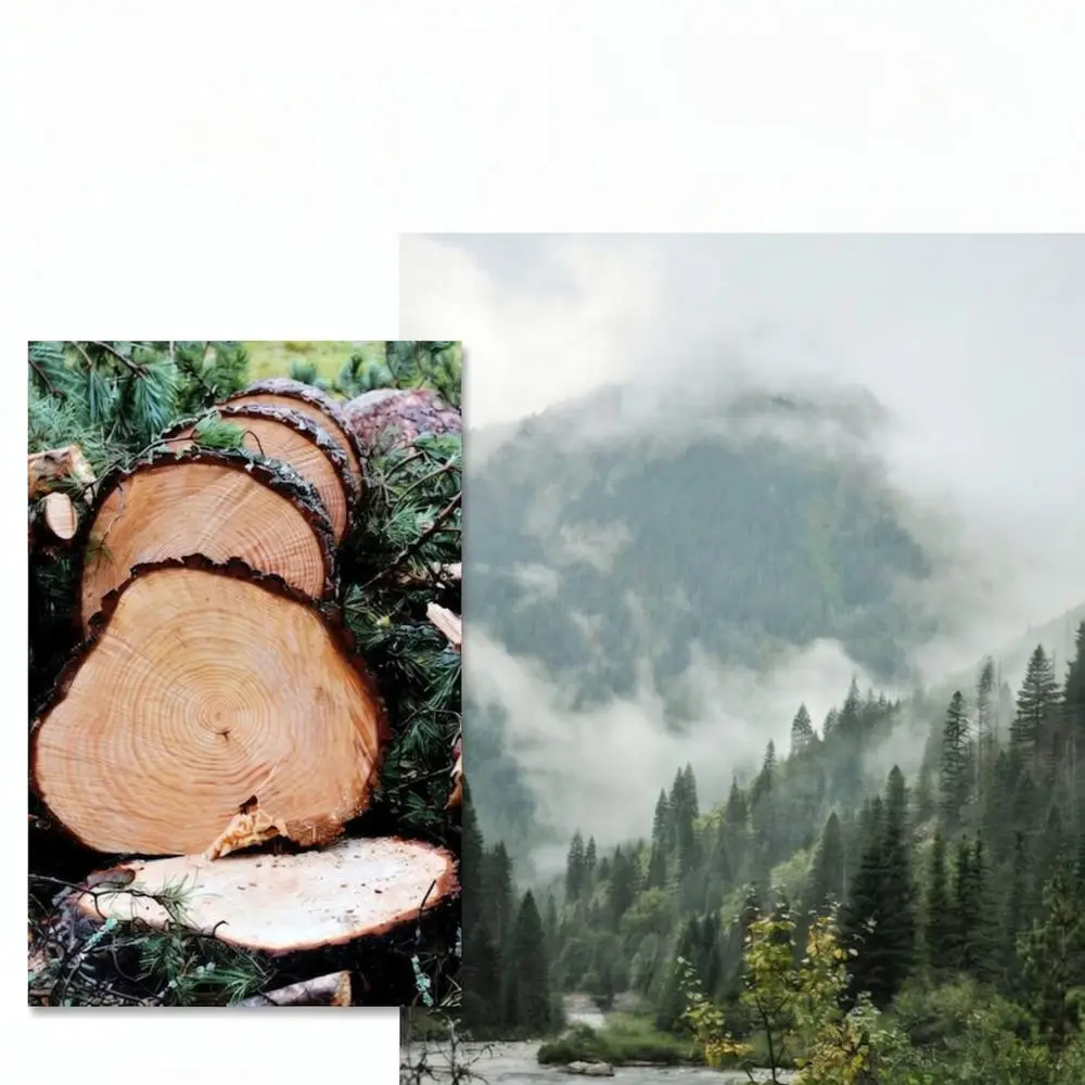 High Density Pine Fiber Cutting Board Kitchen Chopping Block Non Slip Surface Mold Resistant Modern Prep Tray