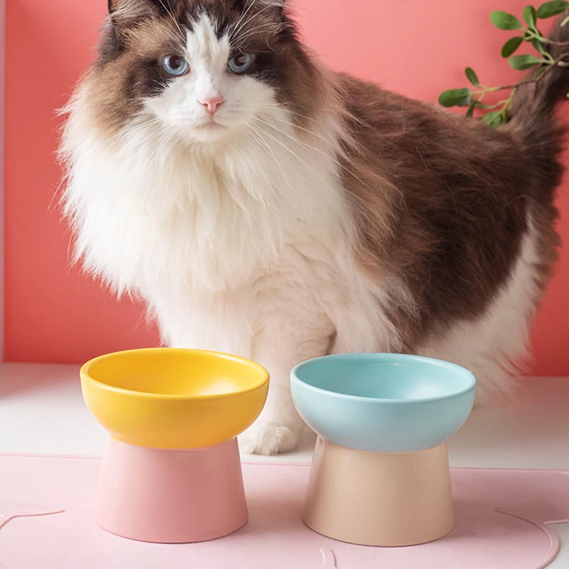 ‌Color Blocking‌ Ceramic Elevated Cat Bowl Puppy Dog Food Water Bowl Protect Cervical Spine Raised Cat Feeder Pet Accessories