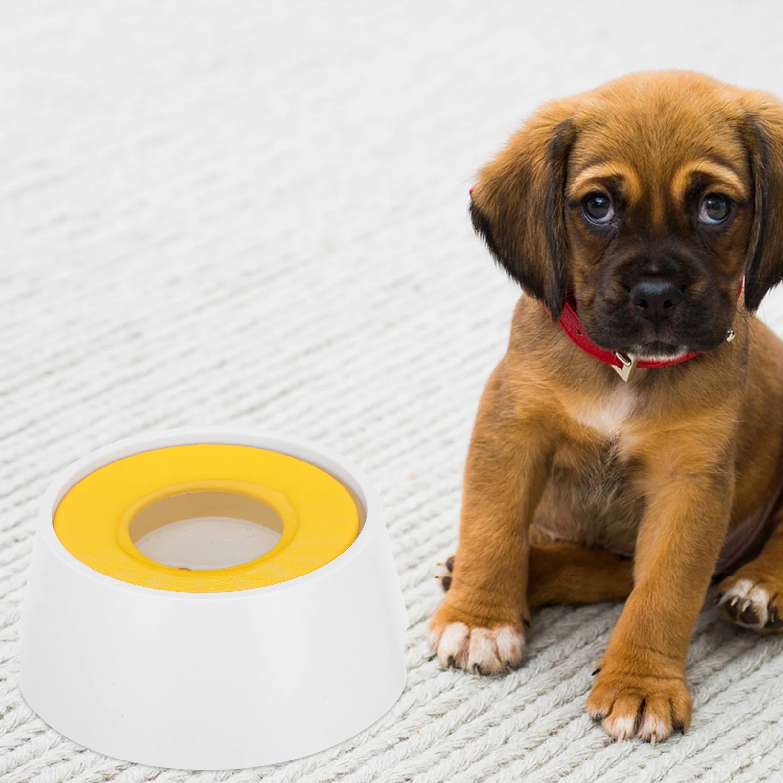 

Floating Pet Water Bowl Reusable ABS Plastic Cat Dog Feeder Spill Proof No Spill Water Bowl for Cats Small Pets