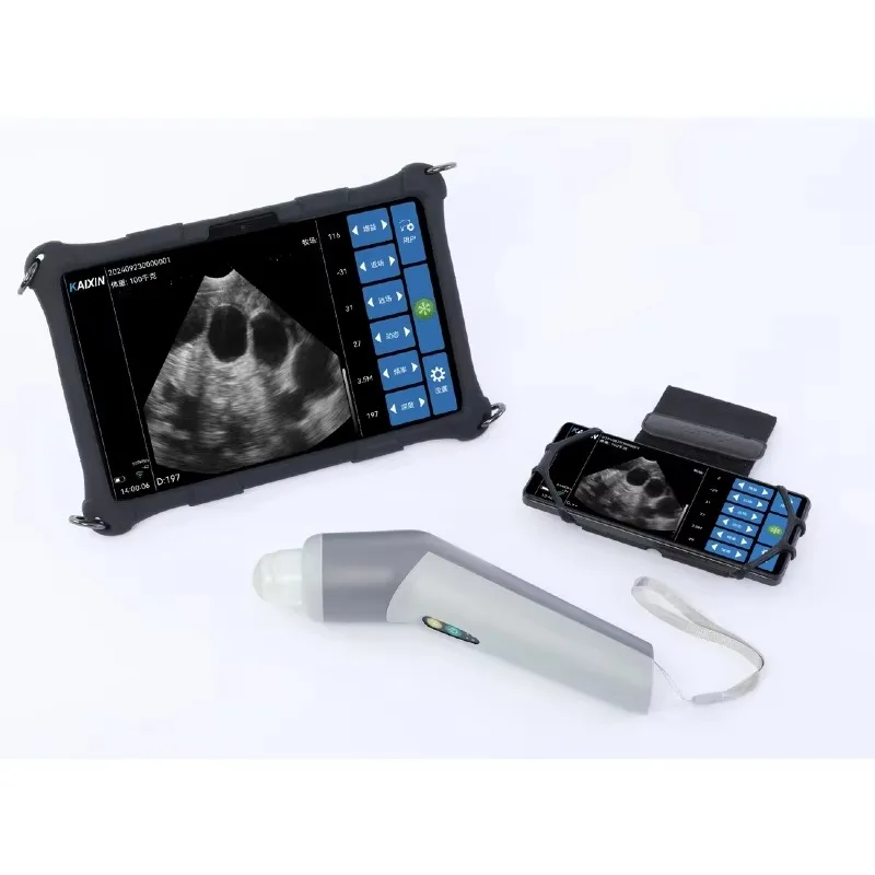 

【specialized】W3 Wireless Scanner Budget Friendly Animal Probe For Pig Sheep And Other Animal In Veterinary Clinic
