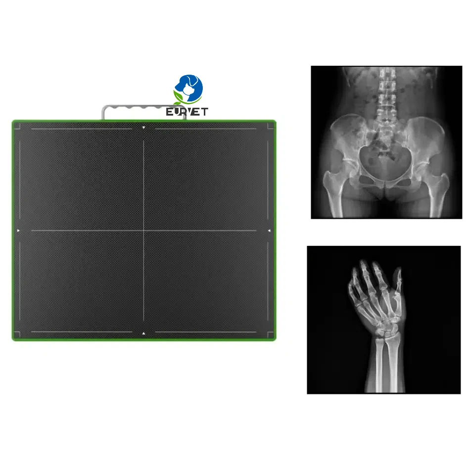 EUR VET Superior Quality Flat Panel Detector for X-ray Veterinary Equipment Digital X Ray Flat Panel Detector