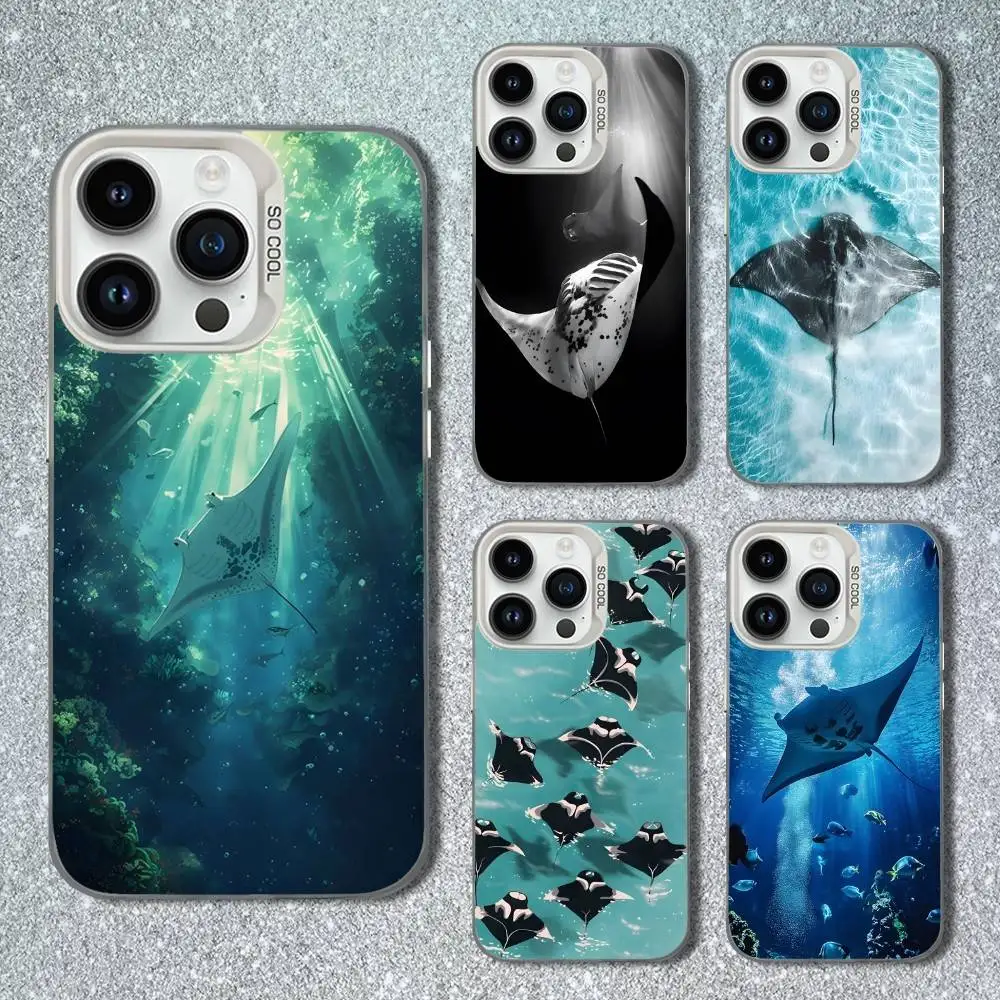 

Manta Ray Ocean Animal Phone Case For iPhone 13,15,14,16,12,11,Mini,MAXXS,Pro,SE, White Matte Shockproof Cover