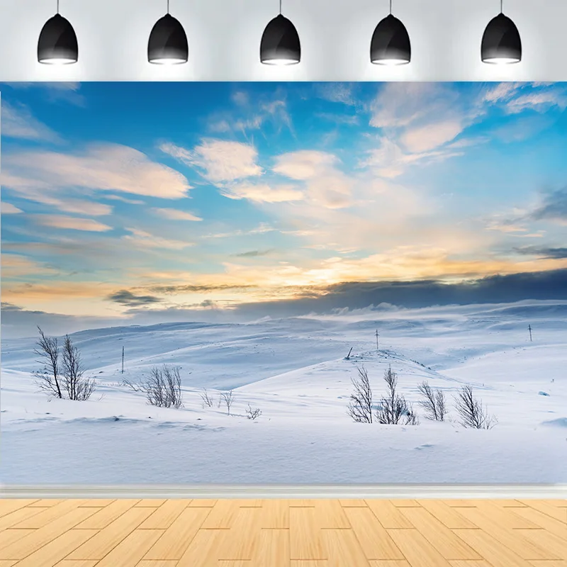 

Mysterious Winter Landscape sky Photography Backdrops Prop Snowy Mountain Pine Trees Nature Fresh Photo Studio Background KS-04