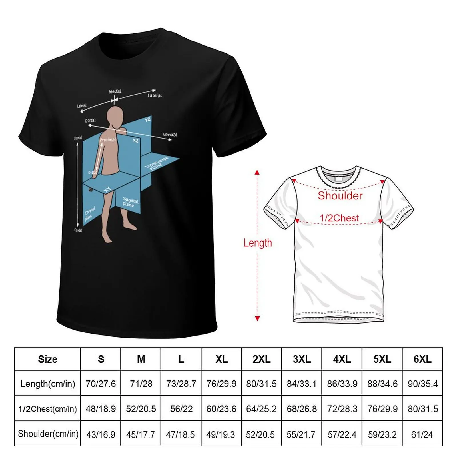 Dorsal Ventral Planes Of Human Body - Nurse Or Physician T-Shirt Trendy Print Short Sleeve T-Shirt
