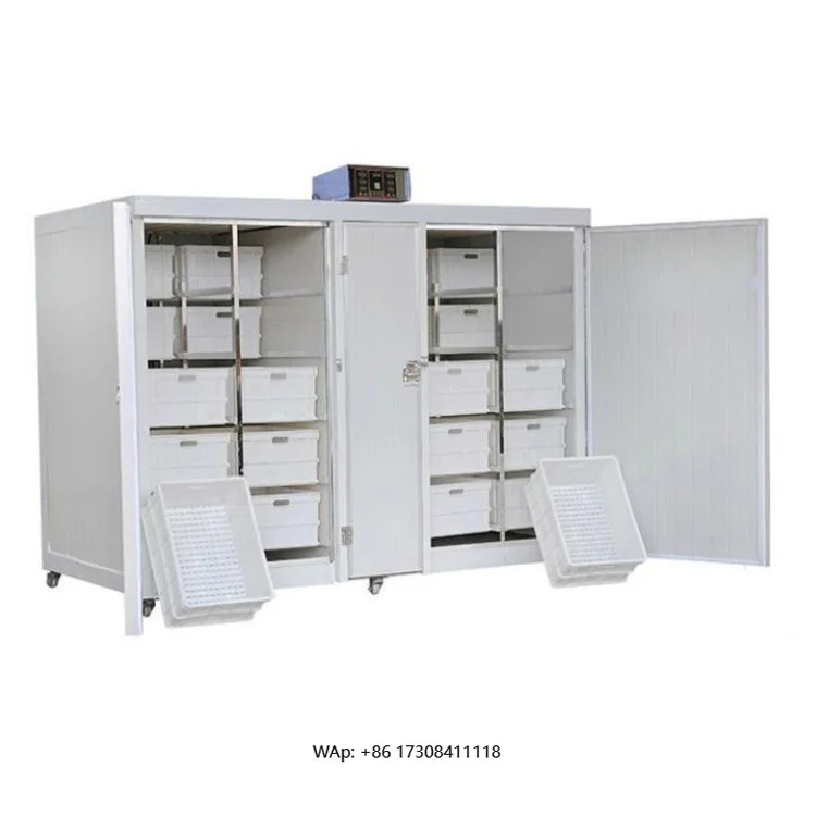 Kellen Automatic Large Hydroponic Fodder System | Barley Sprout Machine for Feeding Cow Dairy Goat Stable Quality