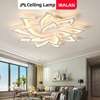 Smart Acrylic Ceiling Light with Stepless Dimming for Living Room/Bedroom, Modern Design & Easy Installation