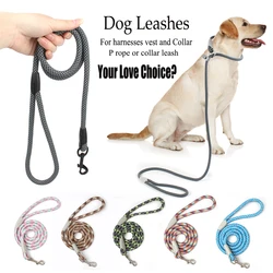 Classic Dog Collar and Leashes, 2in 1, Black Mesh P Rope, Nylon Leash, Adjustable Slip Strap, Training Dog Harness, Lead