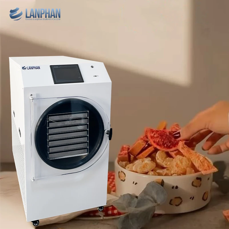 Home Use 15kg 3000W Vacuum Freeze Dryer with Pump for Food Processing Fruit Meat & Ice Cream