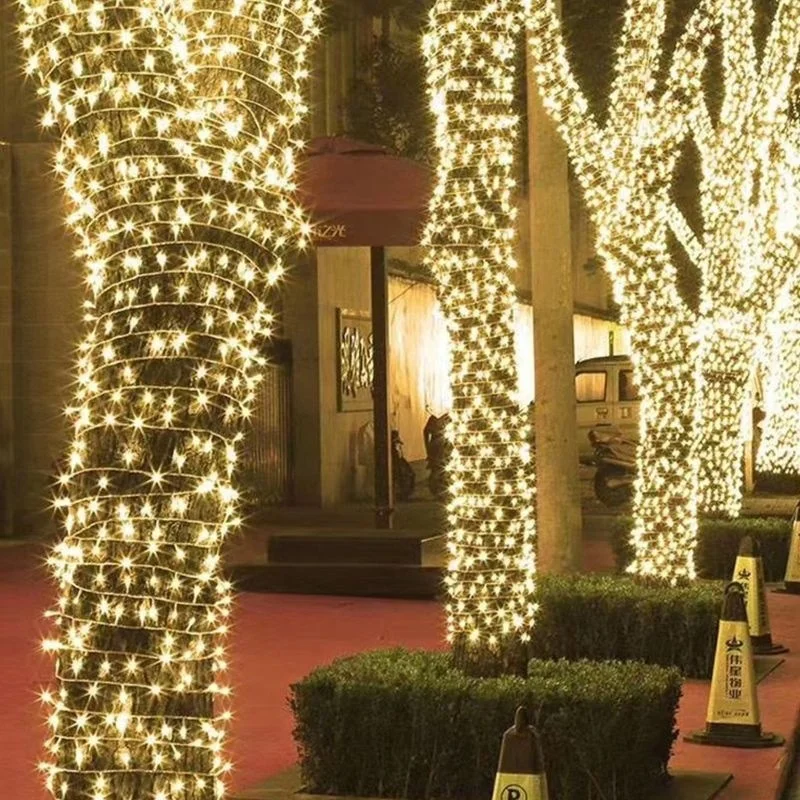 AC 220V EU Plug 10M 20M 30M 50M 100M LED string Fairy lights holiday Wedding Christmas decoration Waterproof led garland