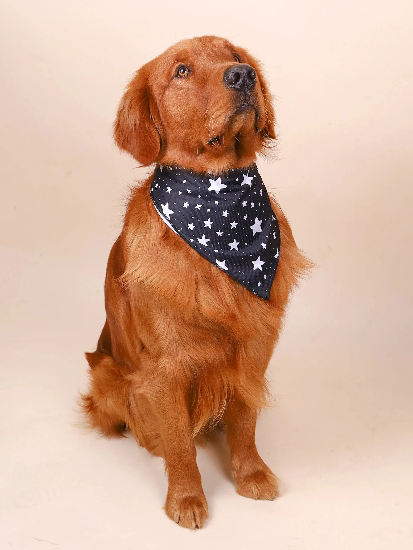1PC Pet Triangle Bandage with Star and Moon Patterns Available in Multiple Colors, Suitable for Both Cats and Dogs