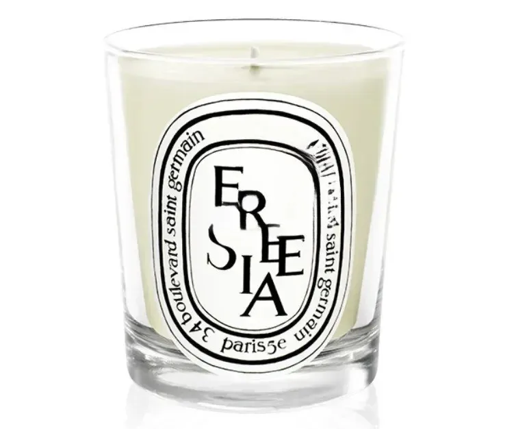 Aromatherapie kaars Natuurlijke plantaardige geurkaarsen Franse geur Fris en elegant Blijvende luchtgenoot Aroma Gift