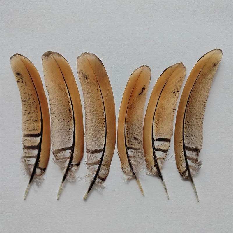 

30Pcs 10-13cm BEAUTIFUL REEVES VENERY PHEASANT Tail Feathers,Loose Reeves Pheasant Feathers ,plumas de avestruz