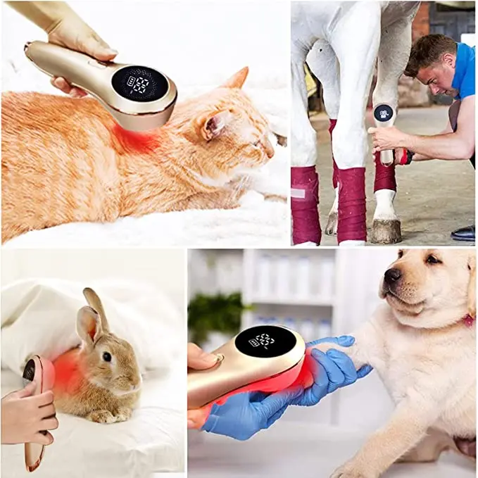 Mini Handheld Portable Veterinary Full Body Cold Laser Therapy Painless Device Laser Pain Relief Treatment Machine