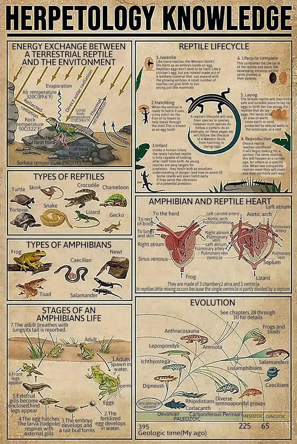1B,Herpetology Know…