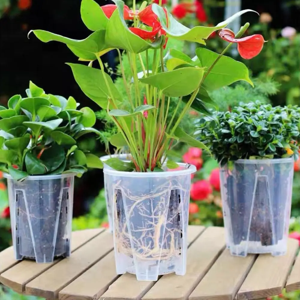 Plastic Transparent Flower Pot Round Square Clear Root Control Hydroponic Flowerpot Cattleya Planting Accessories