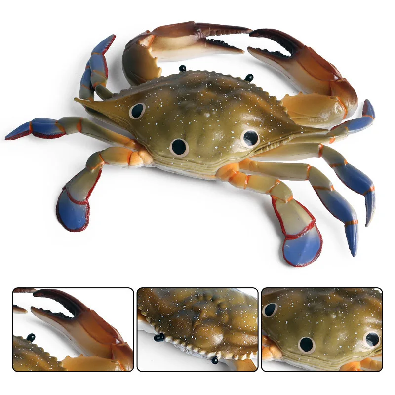 42 Types d'animaux de l'océan, Simulation de crabe ermite Nautiloidea, poulpe, modèle de vie marine, Figurines d'action, Collection, jouet cadeau