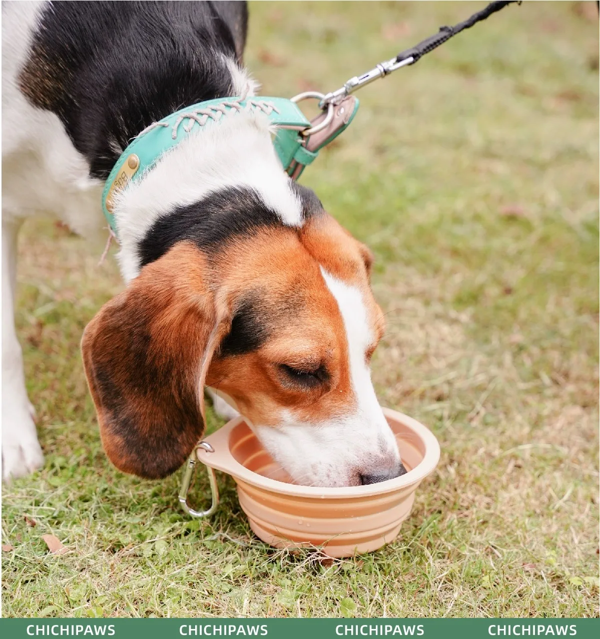 Thickened Folding Silicone Pet Bowls Outdoor Pet Double Bowls Tableware Wholesale Pet Supplies Portable Dog Bowls