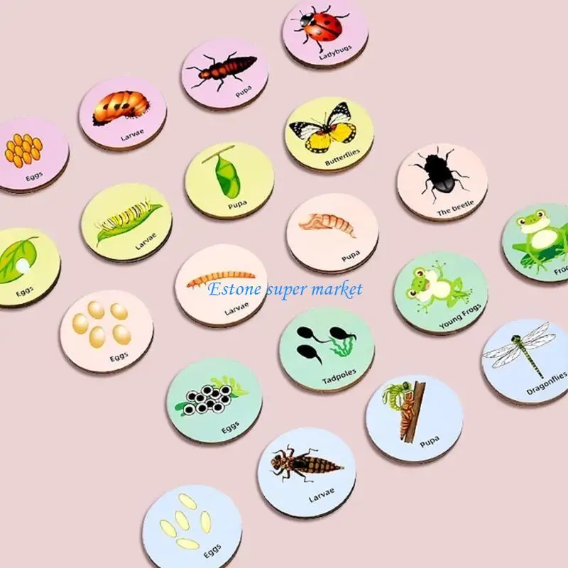 

090B Wooden Tangrams Animal Plant Growth Cycle Puzzle Children Learning Education Toy