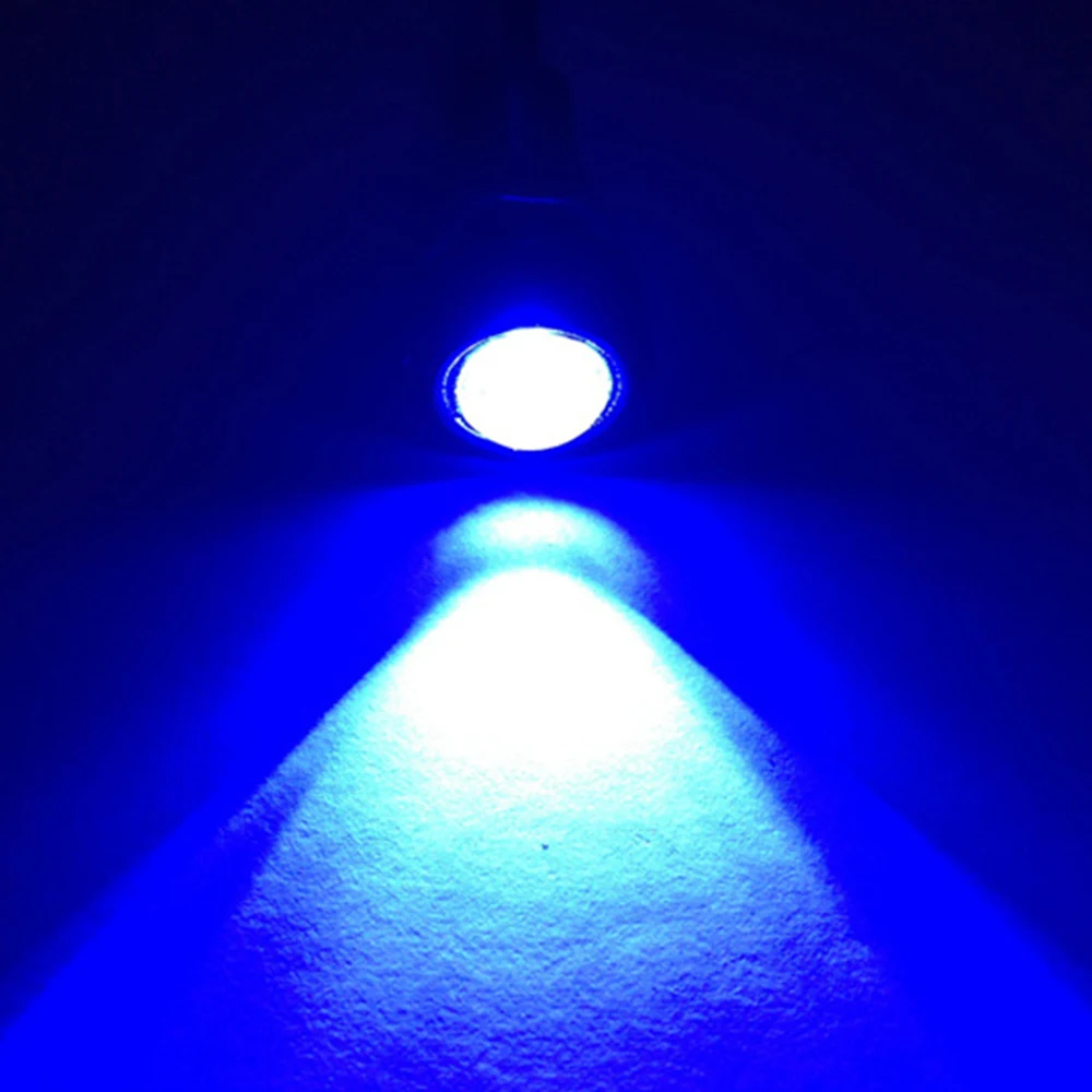 Eagle Eye LED Car Light 23mm 4014 12SMD Car Daytime Running Backup indicatori di direzione Auto lampade targa bianche