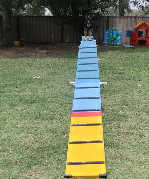 

8FT Dog Agility Training Walk Steel Dog Obstacles