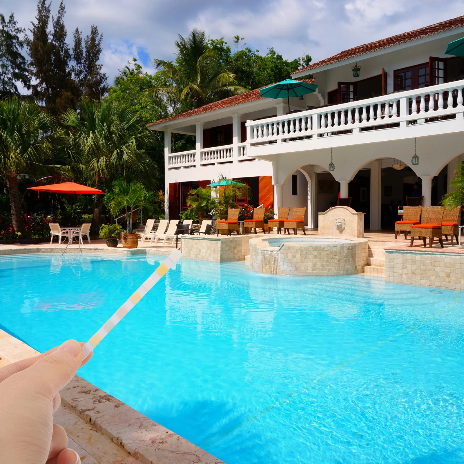 

50Pcs Water Quality Test Strips PH Test Kit Quick Results Easy Operation for Swimming Pool Fish Tank Water