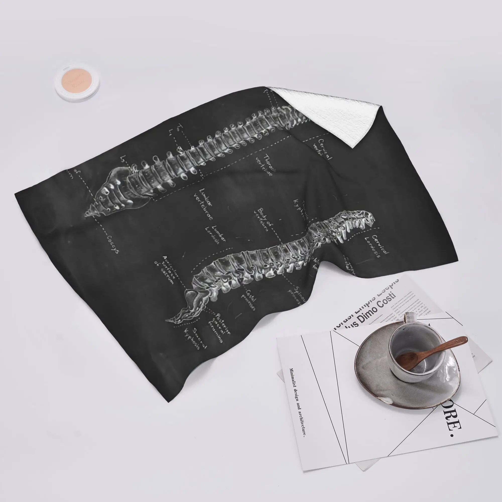 Custom Spine anatomy on chalkboard black and whi Soft Face Towel Quick Dry Pool Bath Cotton Towels Breathable