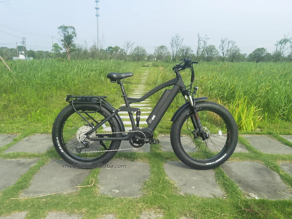 High Power E MTB 8 Speed Fat Tire Full Suspension Electric Mountain Bike 1000w Bafang M620 Mid Drive Ebike for Hunting image 4