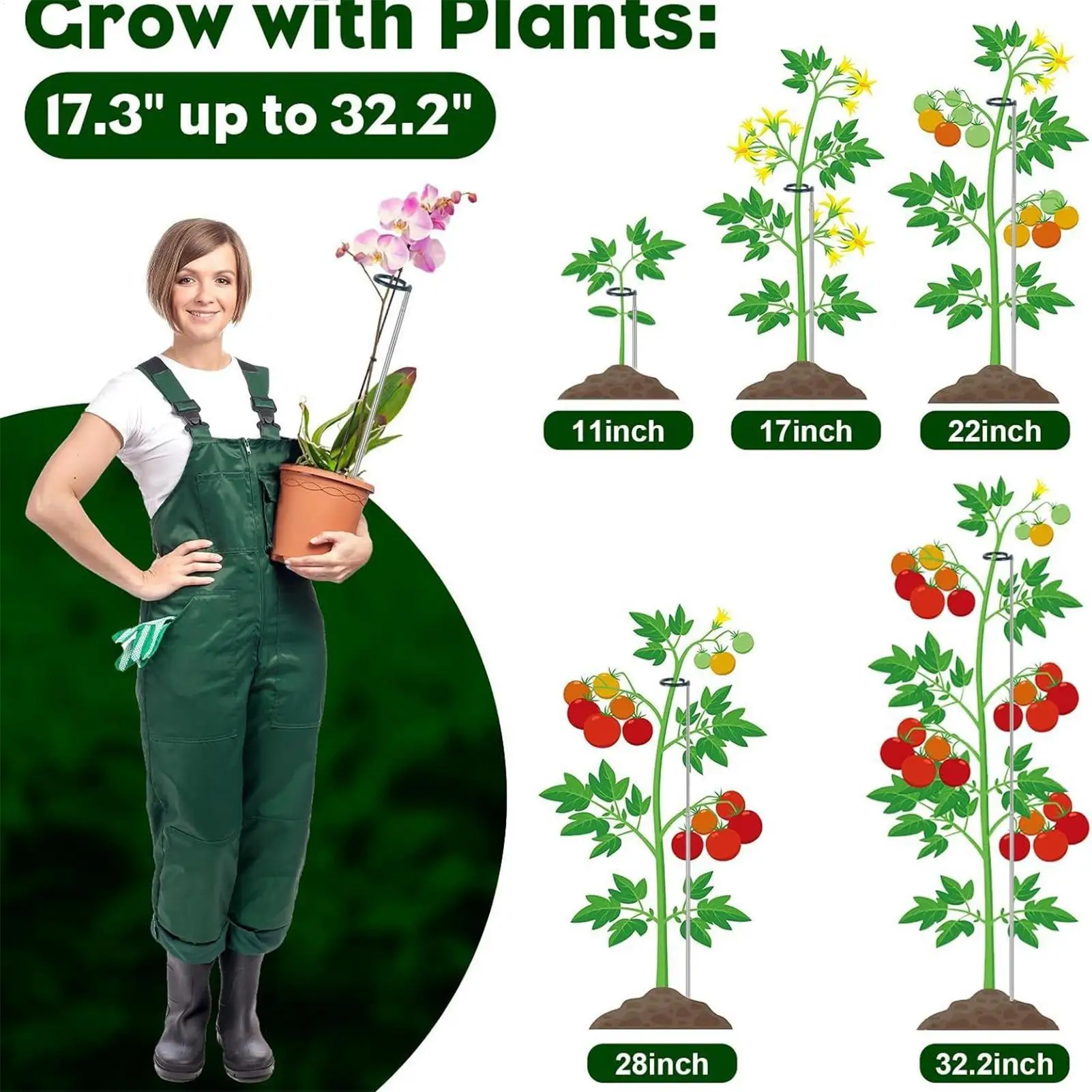 

Колья для растений, телескопическая поддержка для скалолазания, 4 шт., устойчивые к атмосферным воздействиям, многоразовые садовые инструменты для овощей, виноградная лоза в горшках