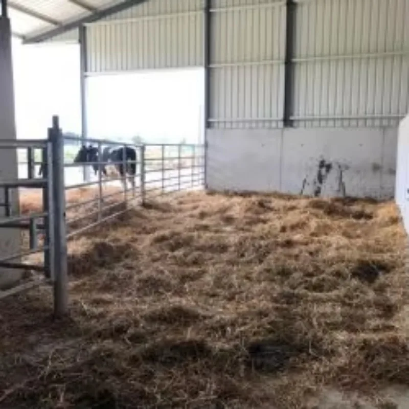 โรงเรือนเหล็กสำเร็จรูปสำหรับเลี้ยงวัวควาย