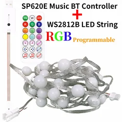 Tira de luces LED RGB programable, controlador de música Bluetooth, enchufe USB y control remoto IR para decoración de Hmoe, DC5V, WS2812, SP620E, novedad