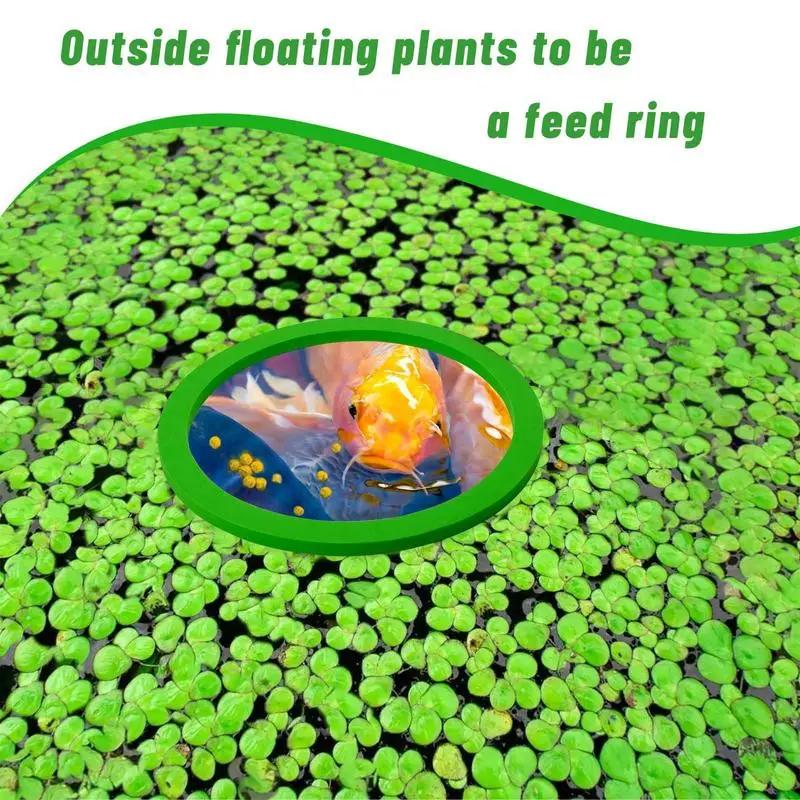 Fish Feeding Ring 10PCS Aquarium Fish Food Holder Ring Aquarium Corral For Floating Plant Reduces Fish Feeder Waste And