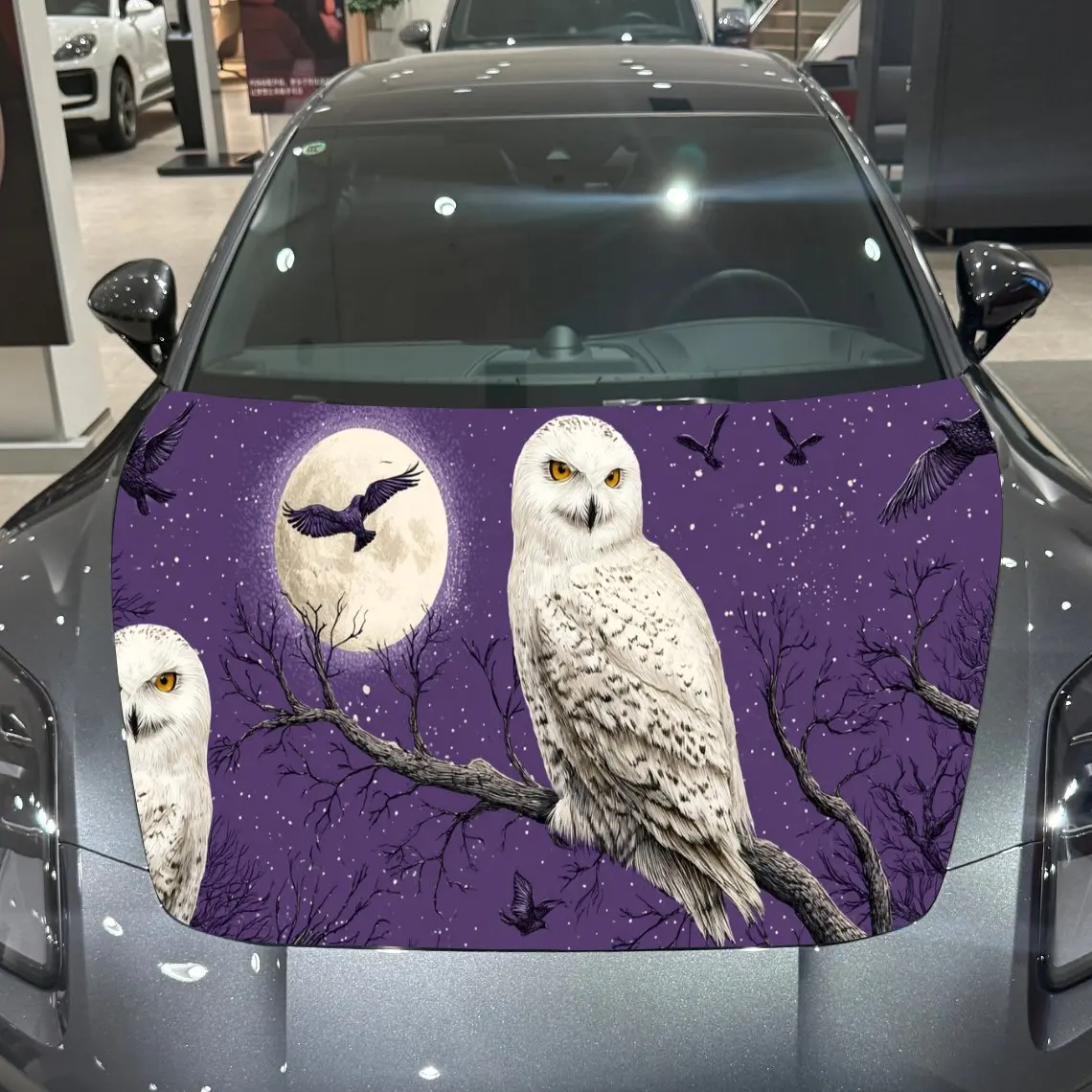 Artistic Snowy Owl …